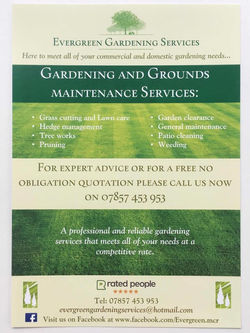 Evergreen leaflet