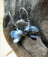 Siamese Fighting Fish