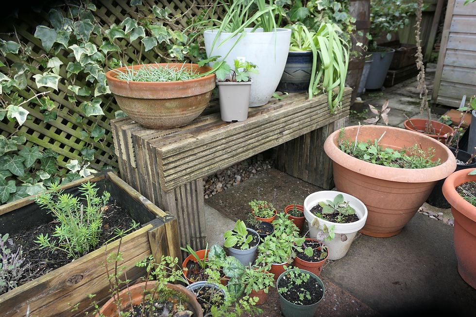 Salvage deck plant stand