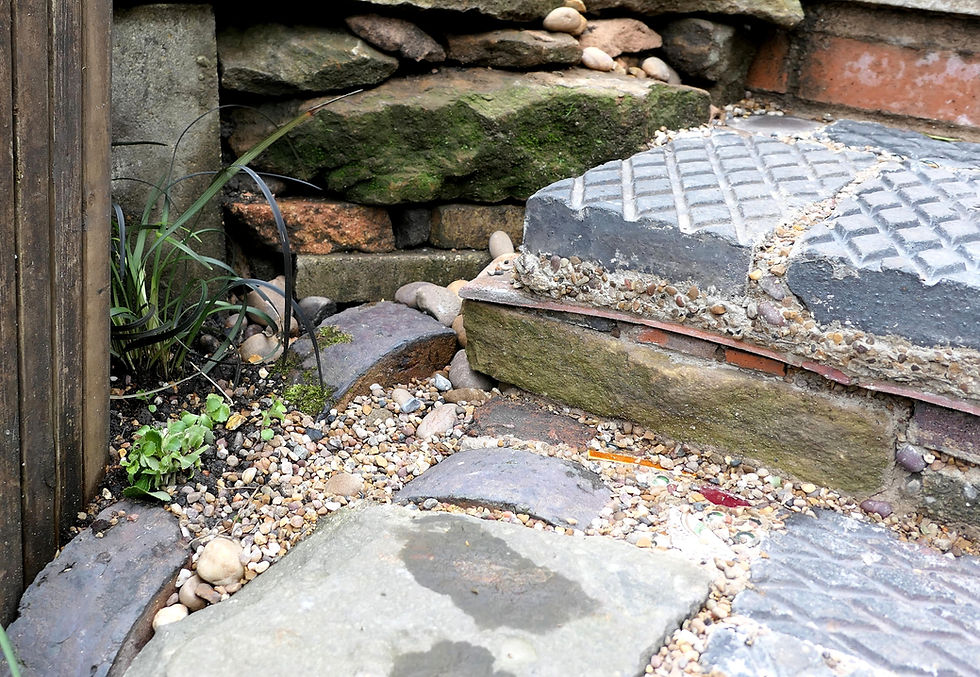 Step detail with plants