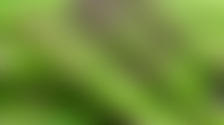 4 Healthy Foods That Calm & De-Stress