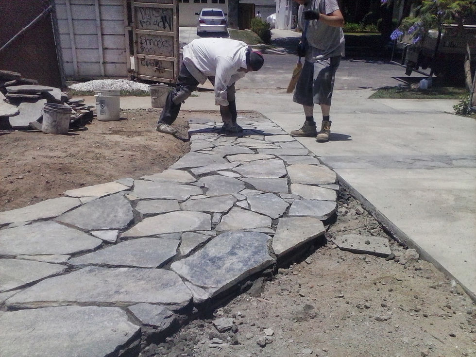 IMG_20130617_124952.jpg