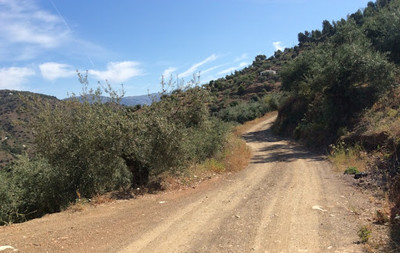 andalucia_dirt 2.jpeg