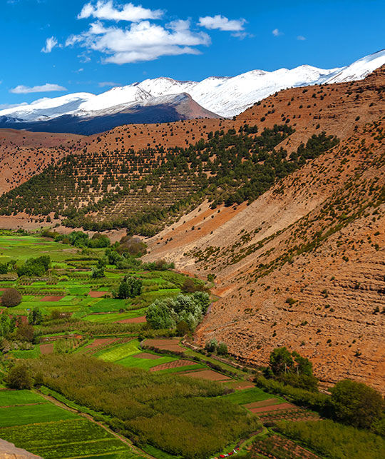 Rif Montains