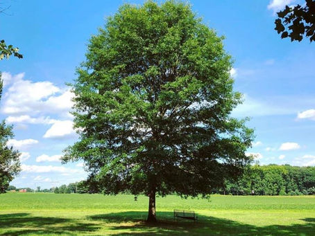 Change Inspired or Inspiring Change?