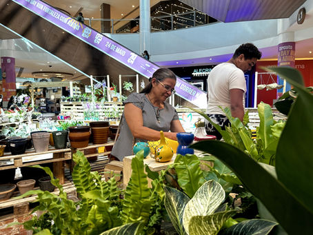Feira de flores ornamentais é realizada em Fortaleza