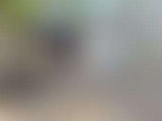 16 pessoas são resgatadas em Pacatuba por trabalho análogo a escravidão