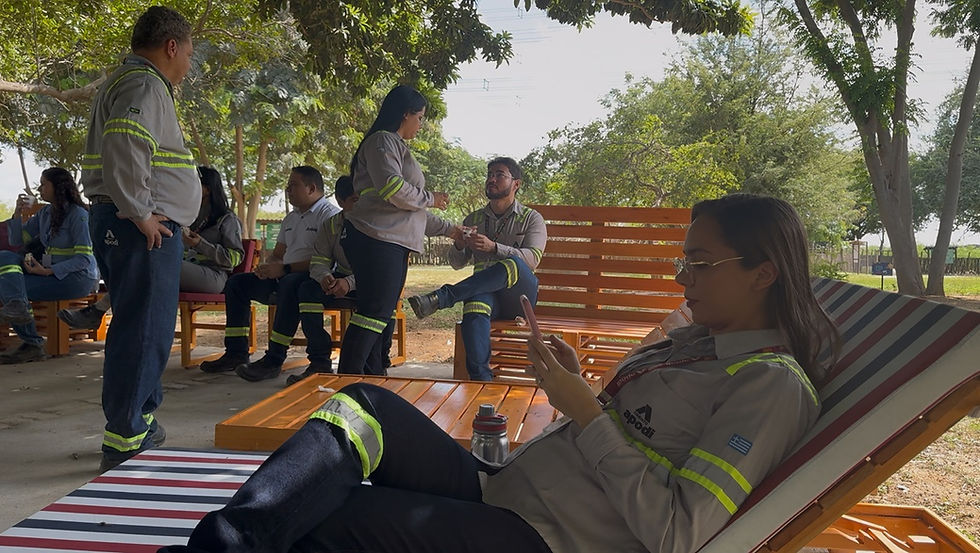 Foto: Divulgação