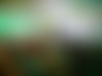 Segunda edição do Trust Summit 2025 acontece nesta quinta-feira em Fortaleza