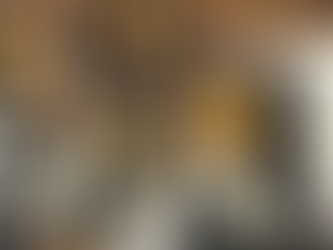 Instituto Jacques Klein realiza ações da temporada 2026 até esta sexta-feira