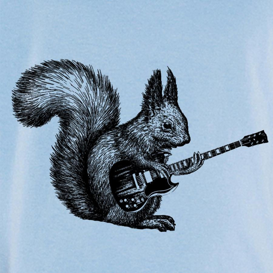 Miniatura: Squirrel playing guitar