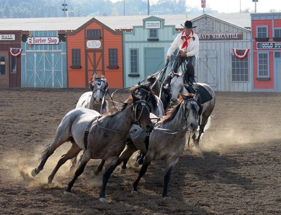 Los Angeles County Fair