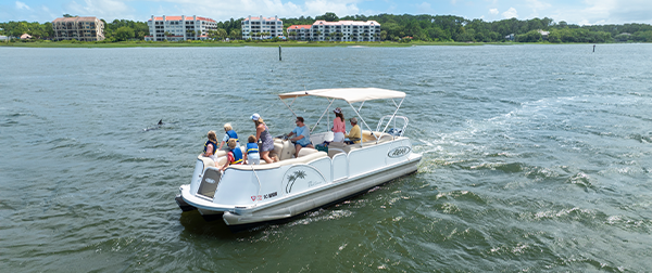 See Wildlife Like Never Before on Hilton Head