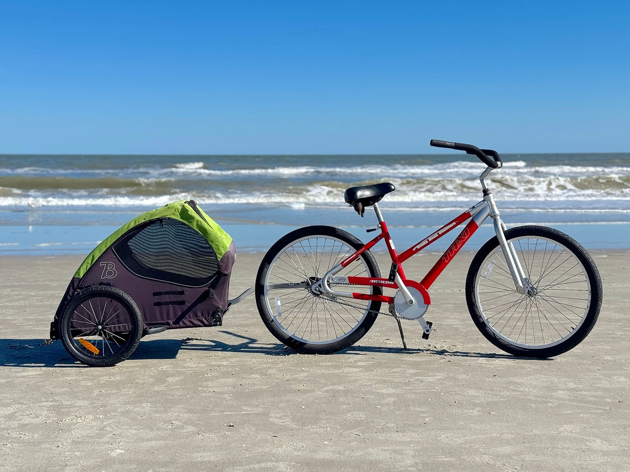 dog cart and bike from Hilton Head Outfitters