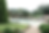 Pool Jacuzzi Deck with stones and greenery.png