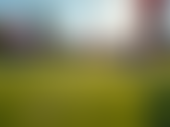 Why Sports Camps Are Great for Skill Development