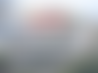 Historic home renovation in Newton MA featuring classic house styles, by Julio & Sons Construction Inc.