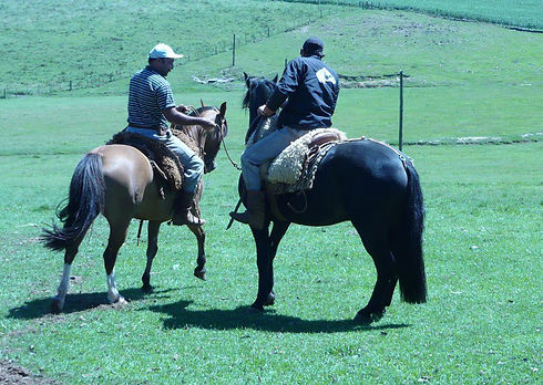 rio grande do sul