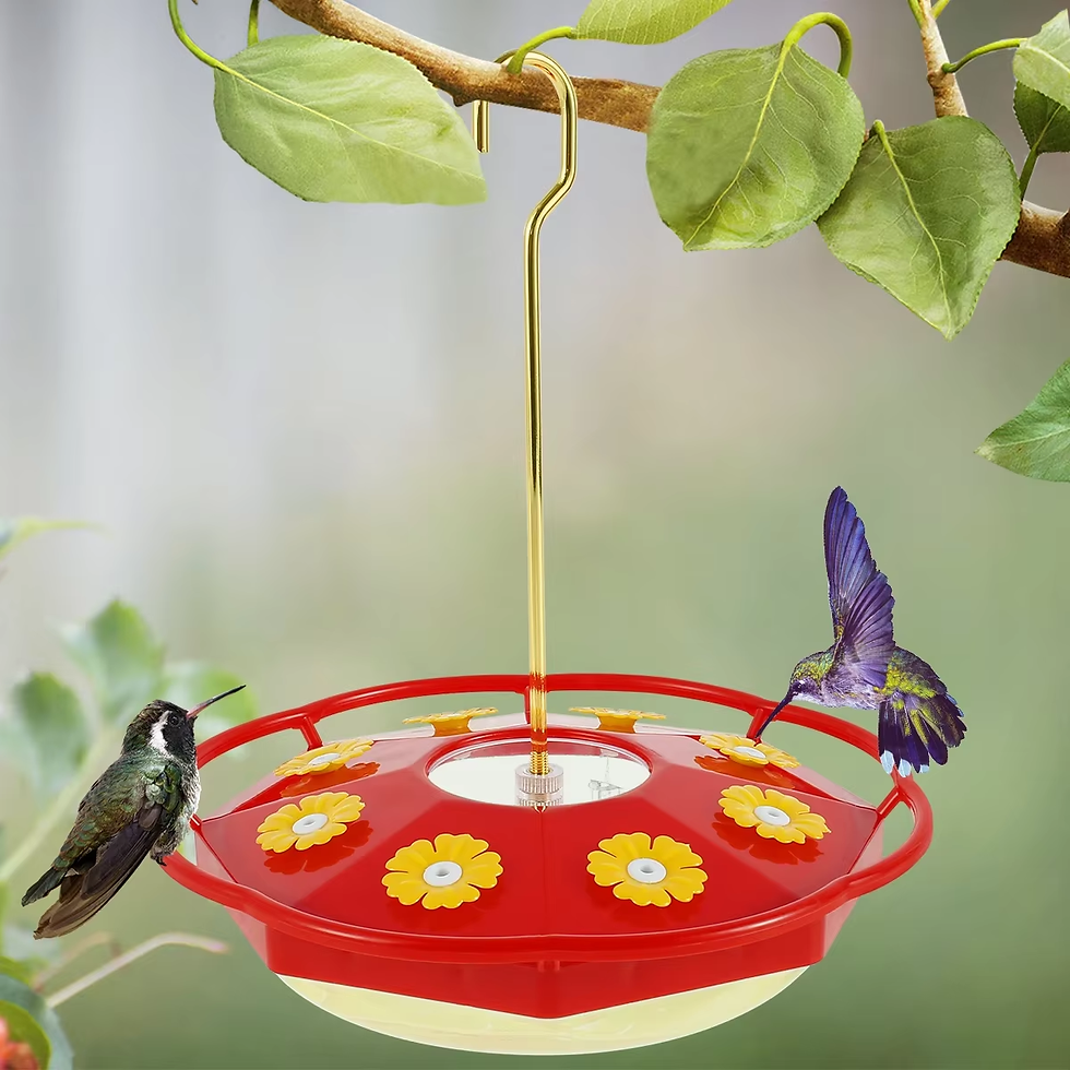 Thumbnail: Outdoor Hanging Hummingbird Feeder with 8 Feeding Ports