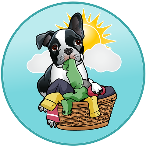 LOGO2 Small Town Laundry LLC-03.png