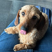 WhatsApp Bild 2025-07-13 um 18.13.17_737910ee.jpg