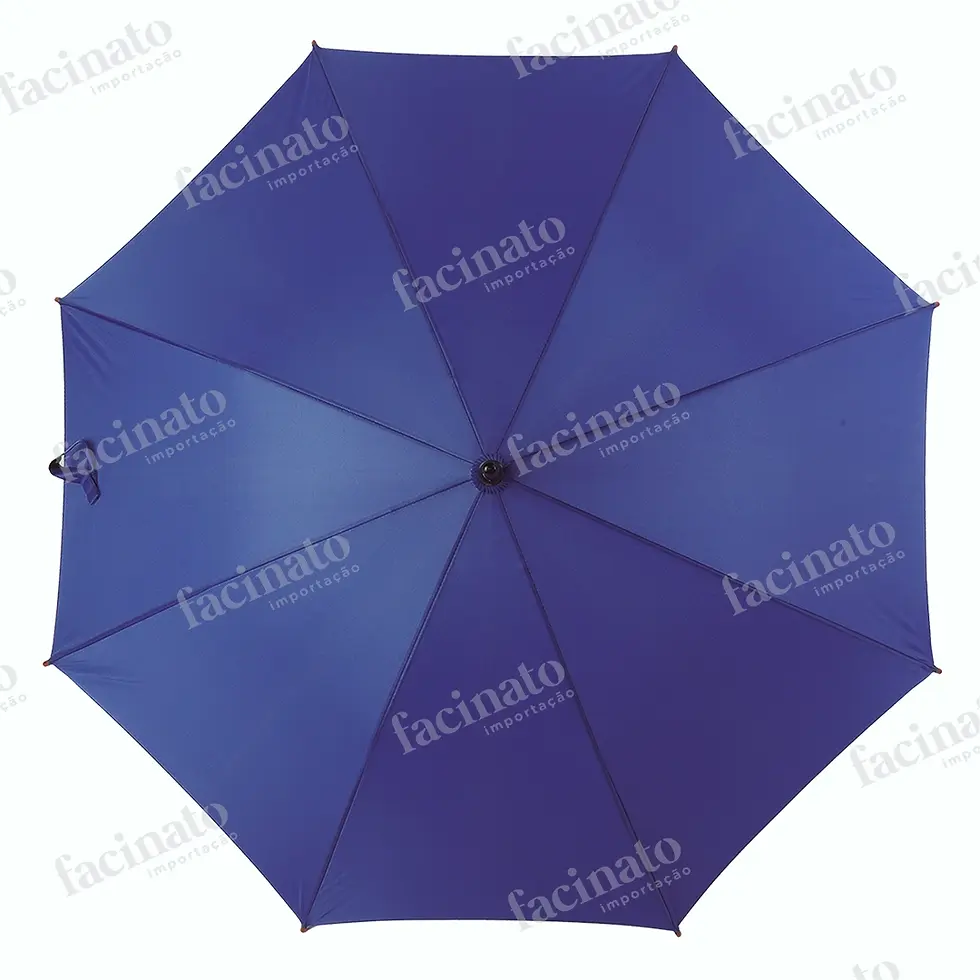 Frontal do Guarda-Chuva Azul Klein