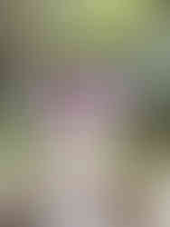 Chinesa passeando de dia no parque usando kimono completo com uma sombrinha oriental lilás desenhada á mão com pincel e tinta de flores