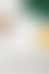 Guarda chuva bengala branco deitado mostrando detalhes da hastes e acamaneto do acessório em cima uma folha de outono