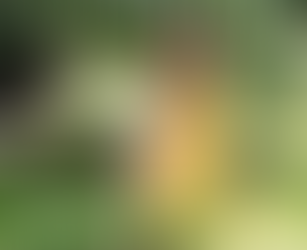 Why Ambitious Mums Deserve to Thrive