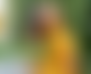 5 Ways to Create a Lasting Impact