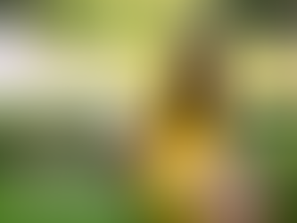 How to Make Profit a Priority