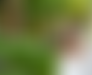 Entrepreneur Types: Which Type of Entrepreneur are You?