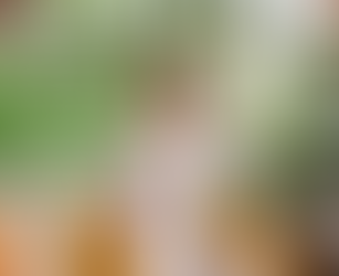 The Key Ingredients To Success