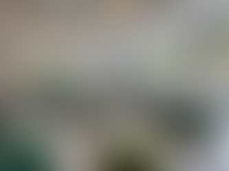 Premium Property Services for Effective Marketing Strategies