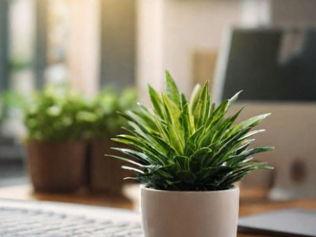 Spice Up Your Work Desk: Fun and Chic Desk Accessories to Make Work Fly By!