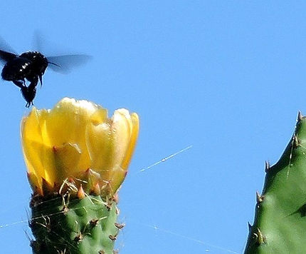 WhatsApp Image 2024-06-01 at 11.21.59 AM.jpeg