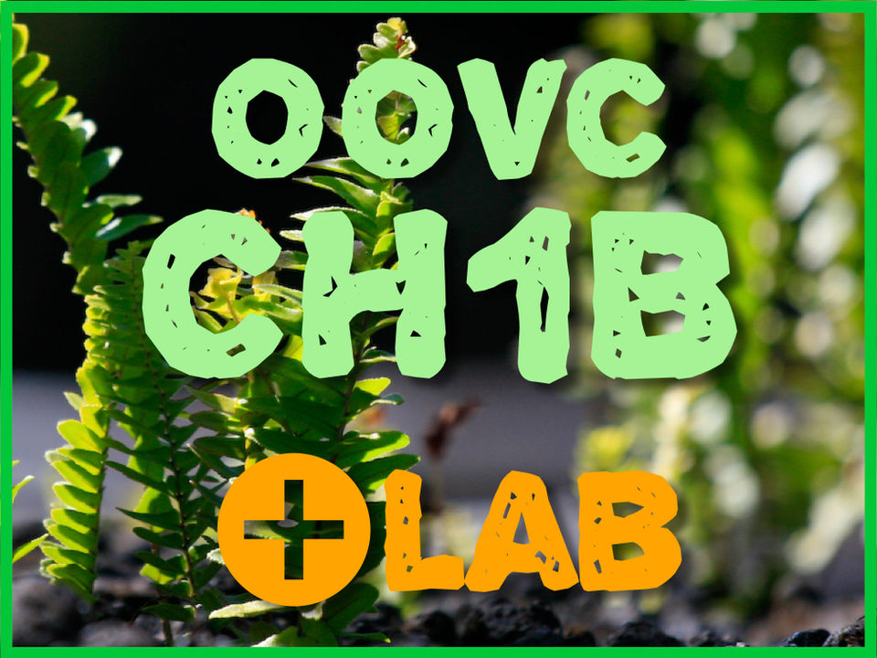 Logo for Beginner Conversational Hawaiian Level One B with Lab Class at ʻŌlelo Online