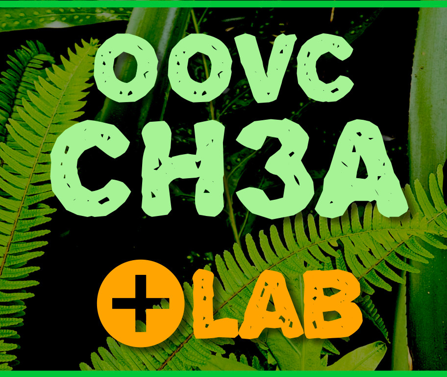 Logo for Emerging Communications Conversational Hawaiian Level Three A with Lab at ʻŌlelo Online