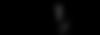 Horse Dazzle Website Graphics (2).png