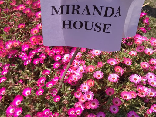 Picture Tour to the Campus by Anthophiles of Miranda House- Part I