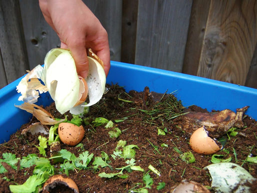 Can composting substitute fertilizers completely?