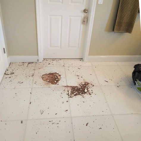 Tile Repair