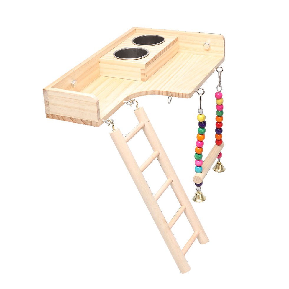 Wooden Parrot Playground with Swing & Climbing Platforms