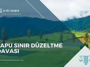 Tapu Sınır Düzeltme Davası