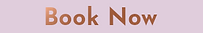 Book Now Button 