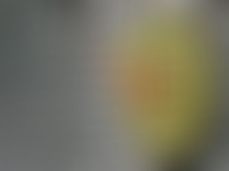 Planen holder kun til det første møde med virkeligheden