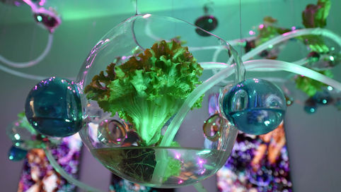 “Original by Nature” sergisinde bir yaşam döngüsü tamamlanıyor