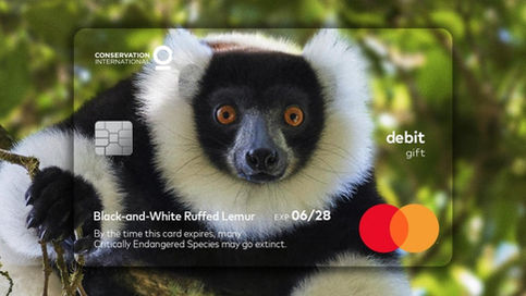 Mastercard anlamlı bir projeye daha imza atıyor