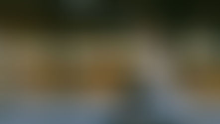 Airbnb Koronavirüs'te hayatta kalabilir mi?