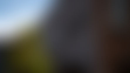 Amazon'un bir sonraki hamlesi ne olabilir?